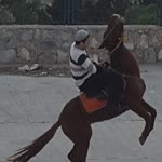 İzzeddin