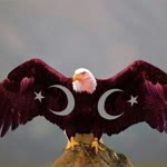 Özden