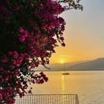 Elif