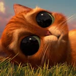 Büşra