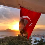 Tuğrul