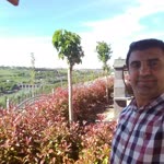 Sezgin