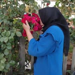 Sevda