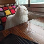 Gülsüm
