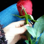 Emel