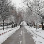 Rasim