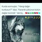 Korkmaz