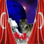 Sağlam