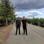 Doğan