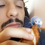 Fatih