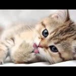 Beyza