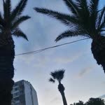 Ekremcan