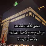 Najeeb