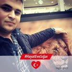 Mücahit