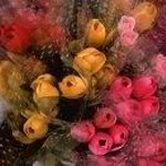 Ftma