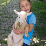 Rıfat