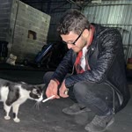 Mehmet