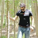 Bulut