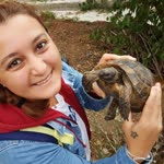 Damla