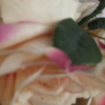 Nesrin