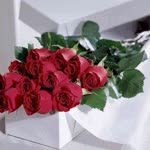 Aynur