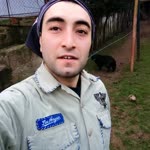 Murat