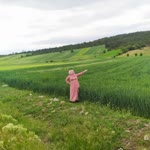 Yasemin