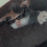 Hülya