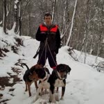 Murat