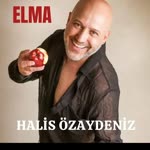 Halis