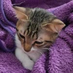 Mine