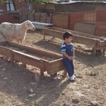 Hayrettin
