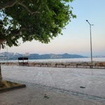 Mert