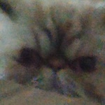 Profil fotoğrafı