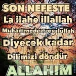 Gönül