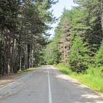 Ayhan