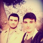 Nevzat
