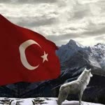Salih