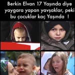 Enis