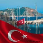 Doğan