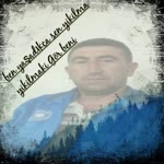 Şahin