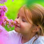 Aynur
