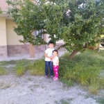 Hasret