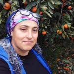 Ülküye
