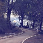Zeyneb