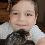 Mehmet