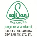 Salsan