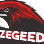 Özgür