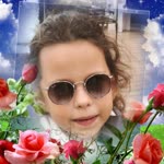 Asil