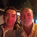 Doğan